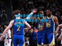 DB电竞官网:小牛队客场击败国王队，取得两连胜
