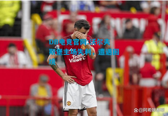 DB电竞官网:沃尔夫斯堡主场失利，遭遇困境